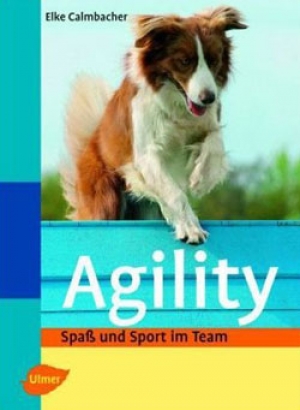 Agility - Spaß und Sport im Team