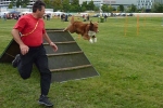 Agility: Spaß und Sport für Hund und Halter