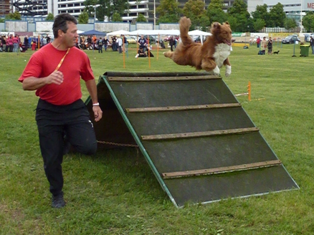 agility03