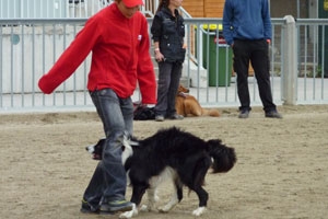 Dogdancing stärkt die Bindung