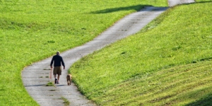 Mensch mit Hund beim Spazierengehen