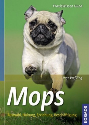 Mops: Auswahl, Haltung, Erziehung, Beschäftigung