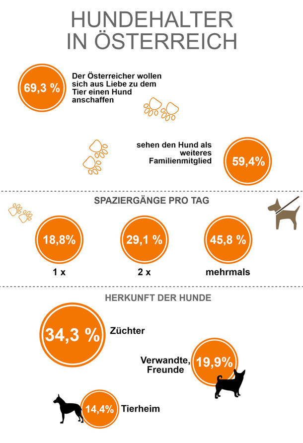 Infografik: Hundehalter in Österreich